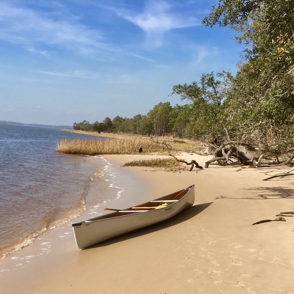 Meet your Posher, Sue - Picture 7 of 8